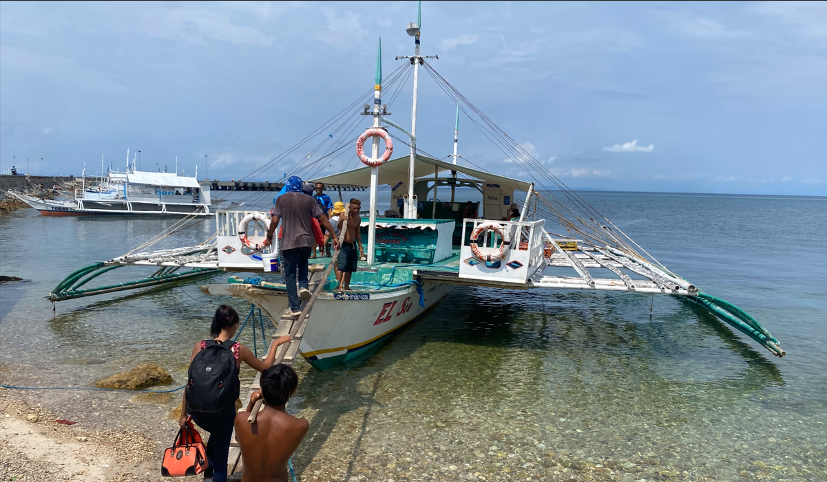 Shark Dive Dansdive Malapascua